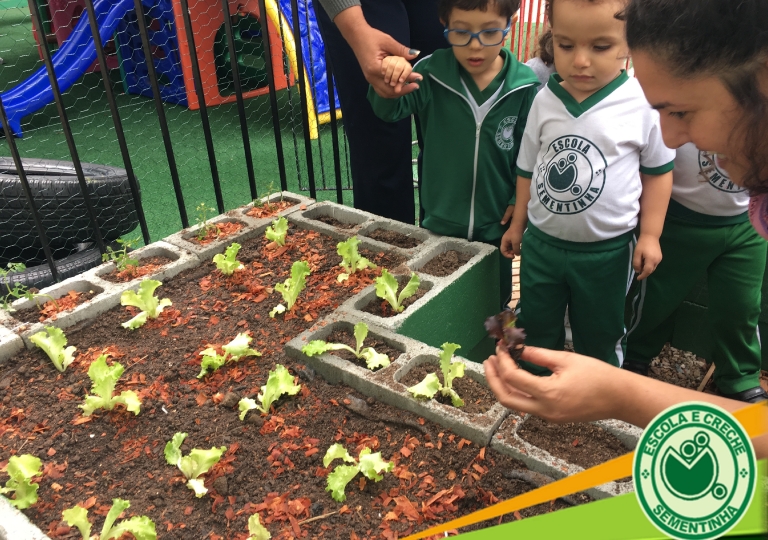 Horta Agroecológica