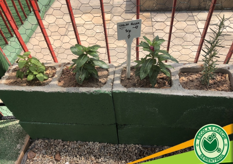 Horta Agroecológica